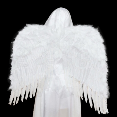 Крылья «Ангела»
