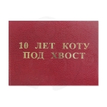 10 лет коту под хвост